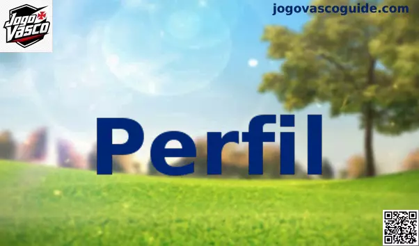 Interface de configuração de perfil do usuário e estatísticas de jogo